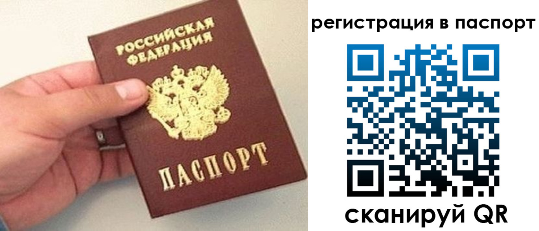 прописка законно в Нововоронеже